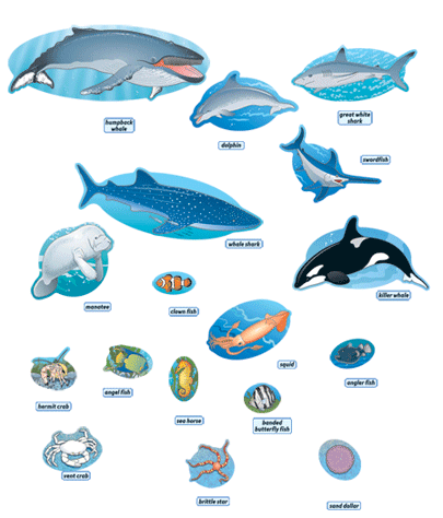 Ocean Life Mini Bulletin Board Set - Keys to Learning Store